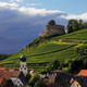 Ruins of Lichteneck Castle on the Weingut estate.